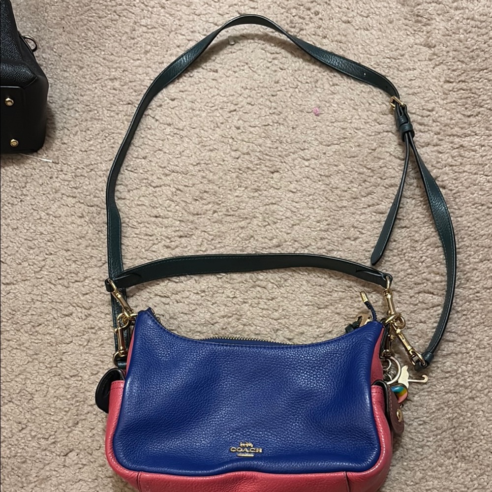 Coach Blue and Pink Crossbody Bag with Gold Hardware